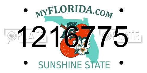 1216775 Florida License Plate
