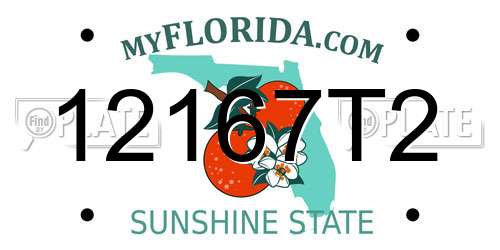 12167T2 Florida License Plate