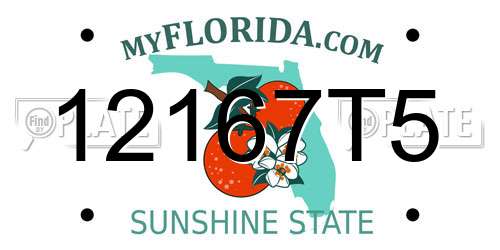 12167T5 Florida License Plate