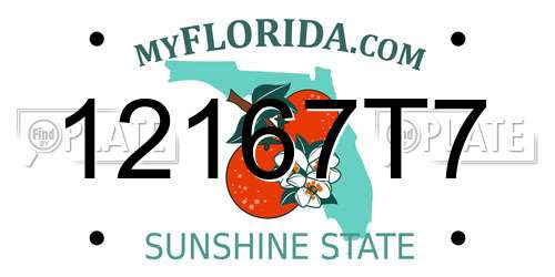 12167T7 Florida License Plate