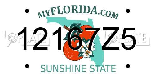 12167Z5 Florida License Plate