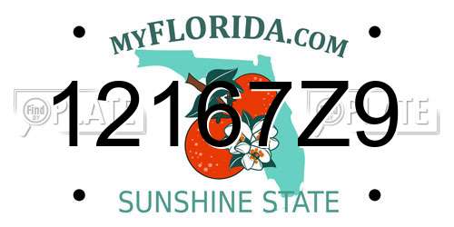 12167Z9 Florida License Plate