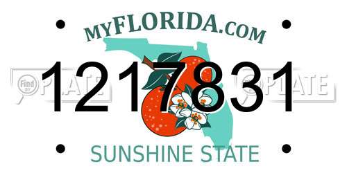 1217831 Florida License Plate