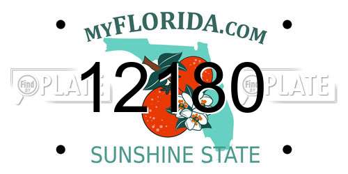 12180 Florida License Plate