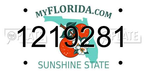 1219281 Florida License Plate