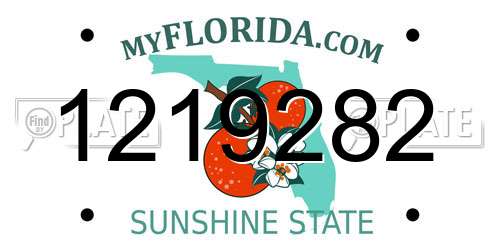 1219282 Florida License Plate