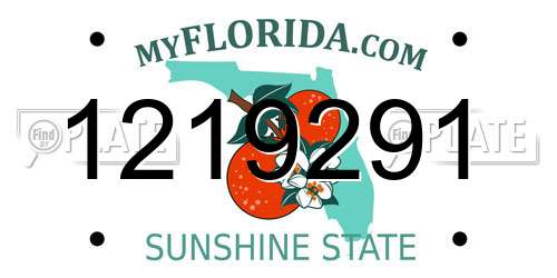 1219291 Florida License Plate
