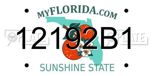 12192B1 Florida License Plate