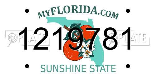 1219781 Florida License Plate