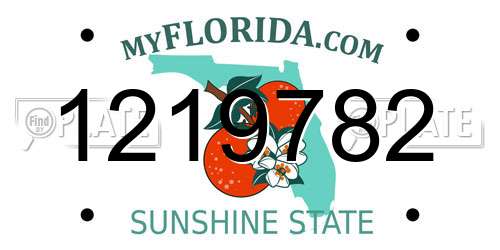 1219782 Florida License Plate