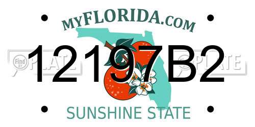 12197B2 Florida License Plate