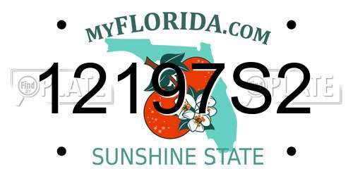 12197S2 Florida License Plate