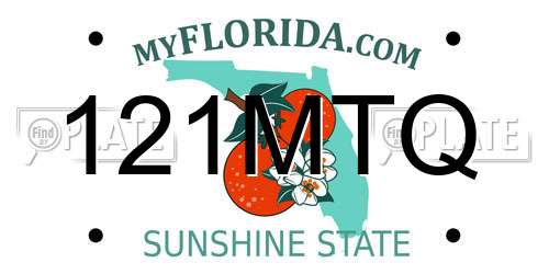 121MTQ Florida License Plate