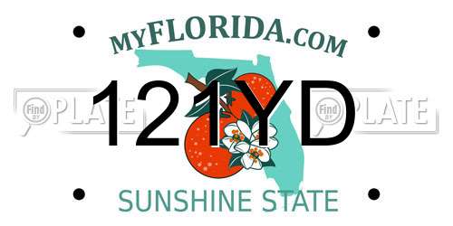121YD Florida License Plate