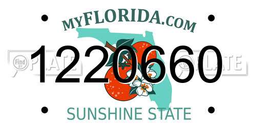 1220660 Florida License Plate