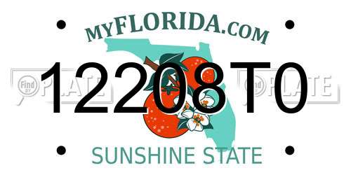 12208T0 Florida License Plate