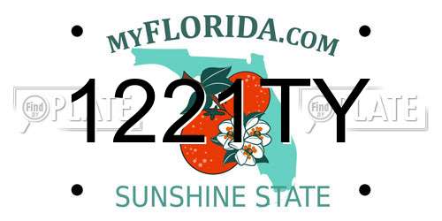 1221TY Florida License Plate