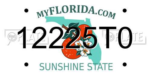 12225T0 Florida License Plate
