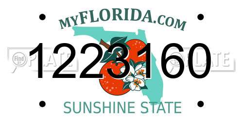 1223160 Florida License Plate