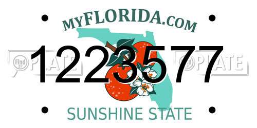 1223577 Florida License Plate
