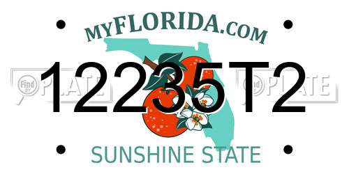 12235T2 Florida License Plate