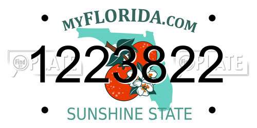 1223822 Florida License Plate