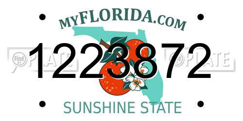1223872 Florida License Plate