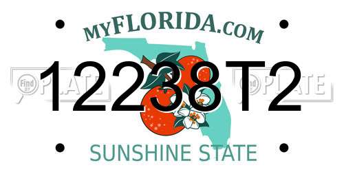 12238T2 Florida License Plate