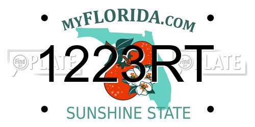 1223RT Florida License Plate