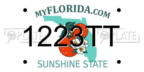 1223TT Florida License Plate