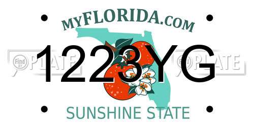 1223YG Florida License Plate