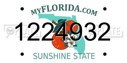 1224932 Florida License Plate