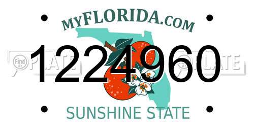1224960 Florida License Plate
