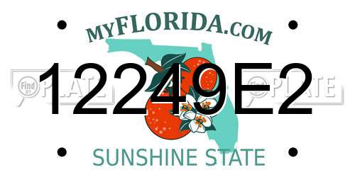 12249E2 Florida License Plate