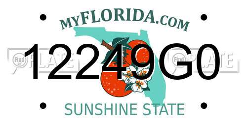 12249G0 Florida License Plate