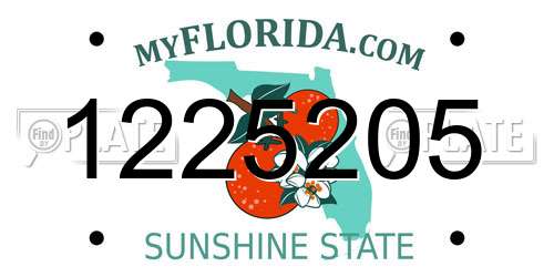 1225205 Florida License Plate