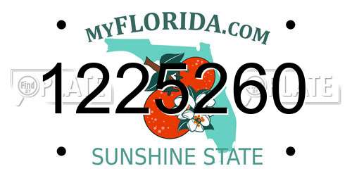 1225260 Florida License Plate