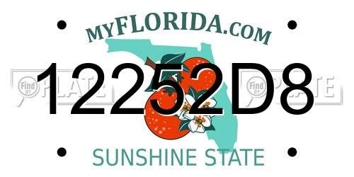 12252D8 Florida License Plate