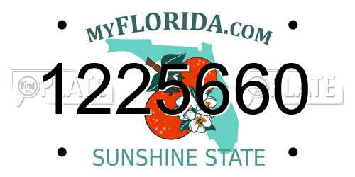 1225660 Florida License Plate