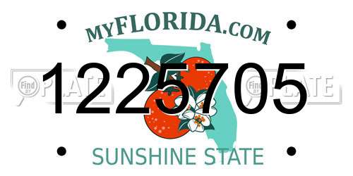 1225705 Florida License Plate