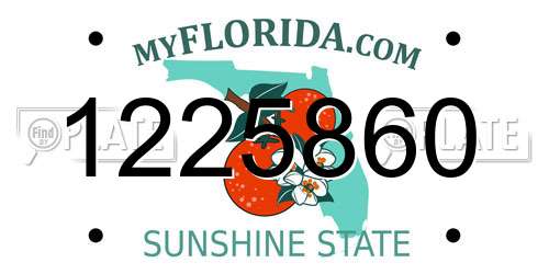 1225860 Florida License Plate