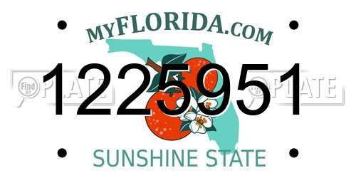 1225951 Florida License Plate