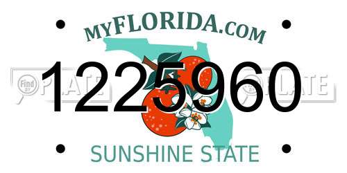 1225960 Florida License Plate