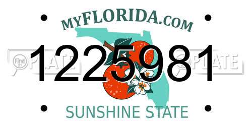 1225981 Florida License Plate
