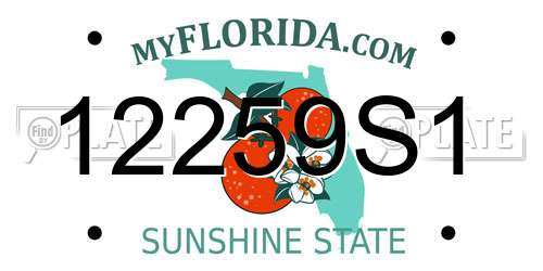 12259S1 Florida License Plate