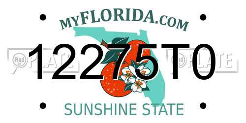 12275T0 Florida License Plate
