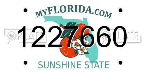1227660 Florida License Plate