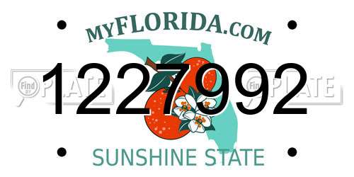 1227992 Florida License Plate