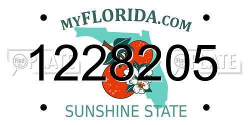 1228205 Florida License Plate