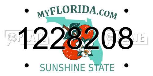 1228208 Florida License Plate